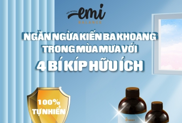 Ngăn ngừa kiến ba khoang với 4 bí kíp hữu ích sau
