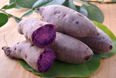 Tác dụng khi ăn khoai lang? Thành phần dinh dưỡng của khoai lang