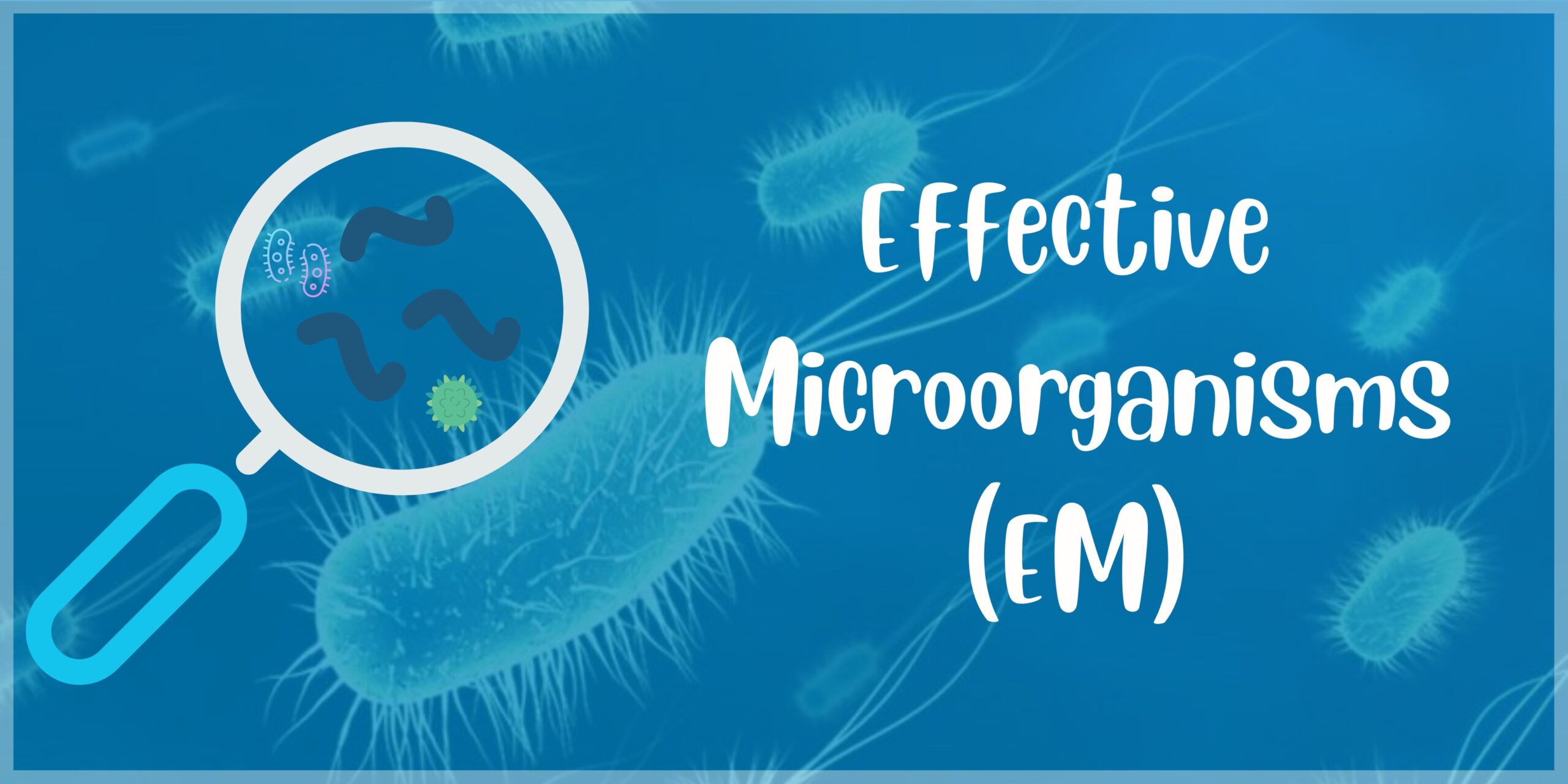Effective Microorgannisms